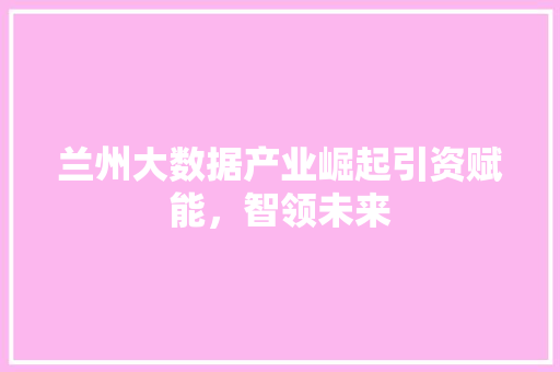 兰州大数据产业崛起引资赋能，智领未来