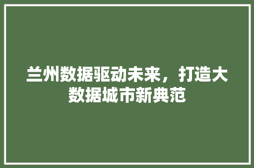 兰州数据驱动未来，打造大数据城市新典范