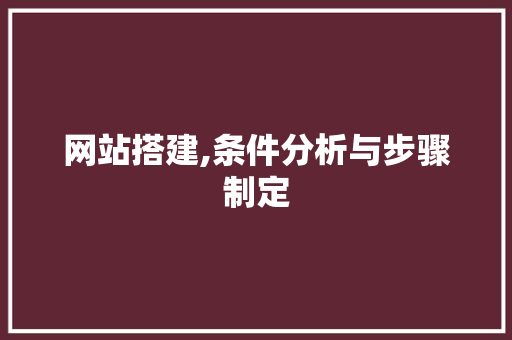 网站搭建,条件分析与步骤制定 网站建设