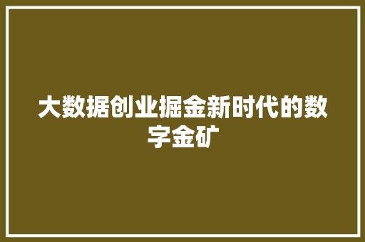 大数据创业掘金新时代的数字金矿