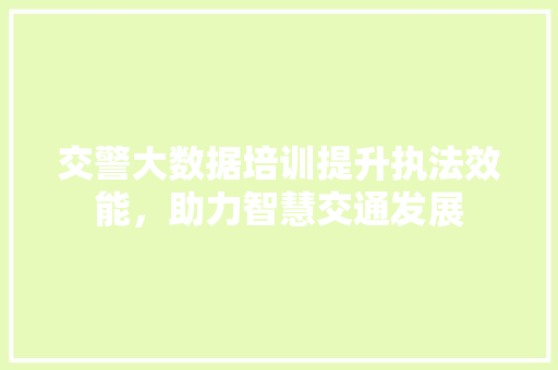 交警大数据培训提升执法效能，助力智慧交通发展