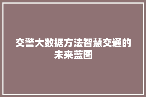 交警大数据方法智慧交通的未来蓝图
