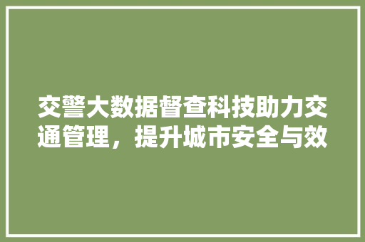 交警大数据督查科技助力交通管理，提升城市安全与效率
