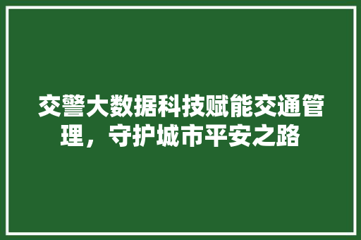 交警大数据科技赋能交通管理，守护城市平安之路