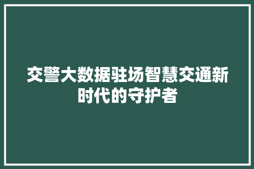 交警大数据驻场智慧交通新时代的守护者