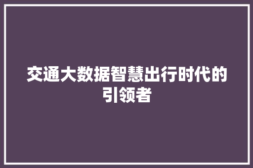 交通大数据智慧出行时代的引领者