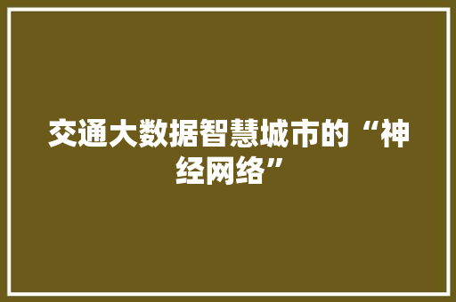 交通大数据智慧城市的“神经网络” 后端技术