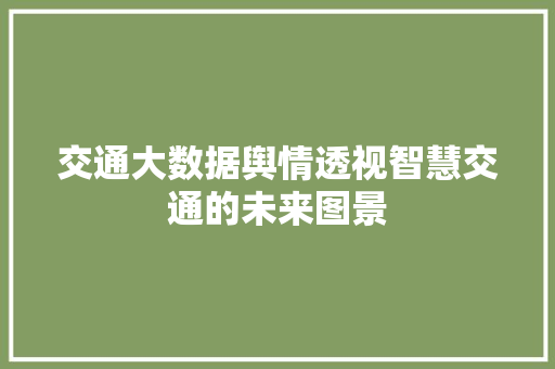 交通大数据舆情透视智慧交通的未来图景