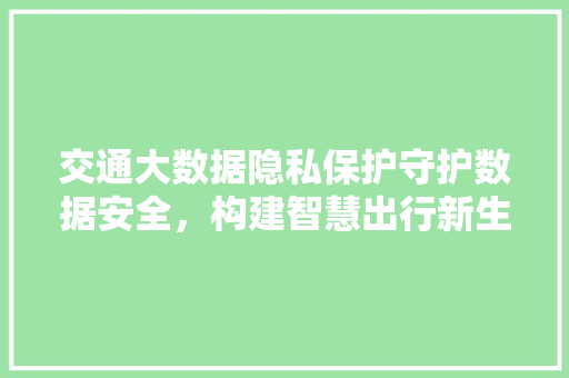 交通大数据隐私保护守护数据安全，构建智慧出行新生态