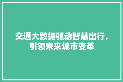交通大数据驱动智慧出行，引领未来城市变革