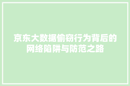 京东大数据偷窃行为背后的网络陷阱与防范之路