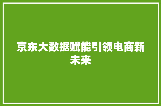 京东大数据赋能引领电商新未来