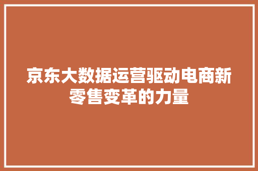 京东大数据运营驱动电商新零售变革的力量