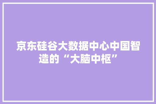 京东硅谷大数据中心中国智造的“大脑中枢”