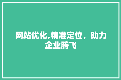 网站优化,精准定位，助力企业腾飞 项目报告