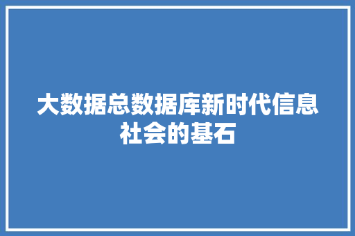 大数据总数据库新时代信息社会的基石