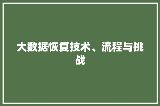 大数据恢复技术、流程与挑战