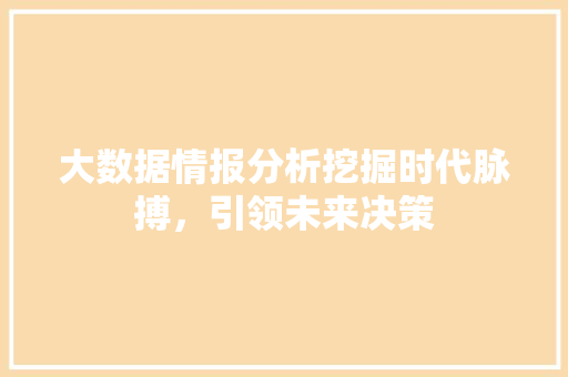 大数据情报分析挖掘时代脉搏，引领未来决策