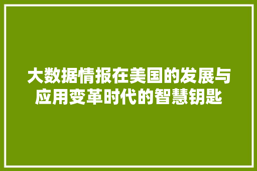 大数据情报在美国的发展与应用变革时代的智慧钥匙