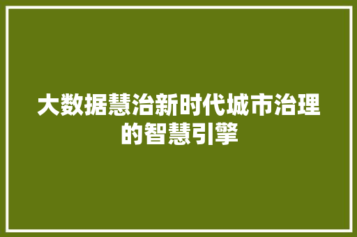 大数据慧治新时代城市治理的智慧引擎