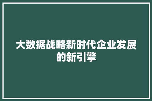 大数据战略新时代企业发展的新引擎