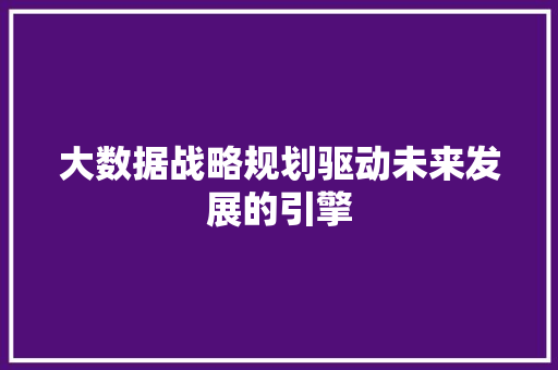 大数据战略规划驱动未来发展的引擎