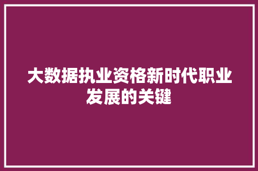 大数据执业资格新时代职业发展的关键