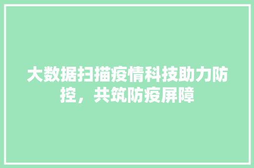 大数据扫描疫情科技助力防控，共筑防疫屏障
