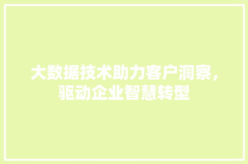 大数据技术助力客户洞察，驱动企业智慧转型