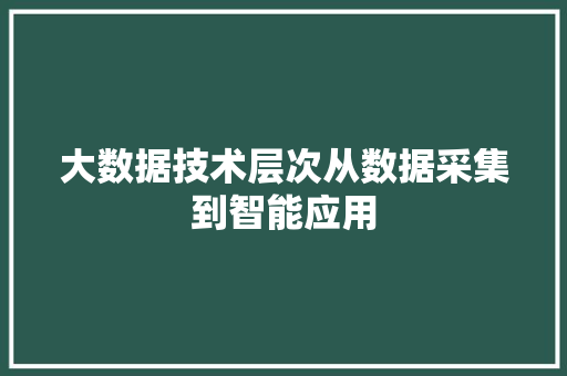大数据技术层次从数据采集到智能应用