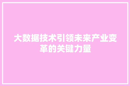 大数据技术引领未来产业变革的关键力量