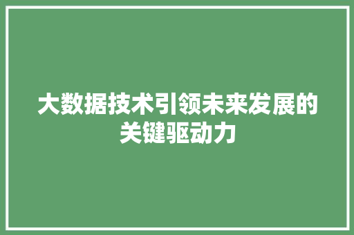 大数据技术引领未来发展的关键驱动力