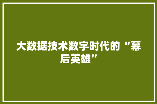大数据技术数字时代的“幕后英雄”