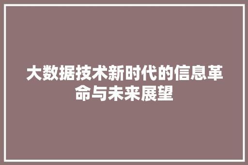 大数据技术新时代的信息革命与未来展望
