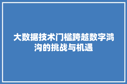 大数据技术门槛跨越数字鸿沟的挑战与机遇