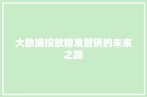 大数据投放精准营销的未来之路