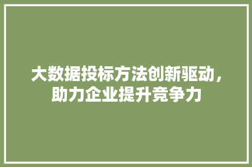 大数据投标方法创新驱动，助力企业提升竞争力
