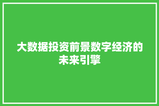 大数据投资前景数字经济的未来引擎