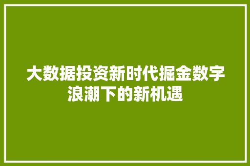 大数据投资新时代掘金数字浪潮下的新机遇