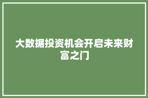 大数据投资机会开启未来财富之门