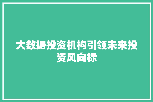 大数据投资机构引领未来投资风向标