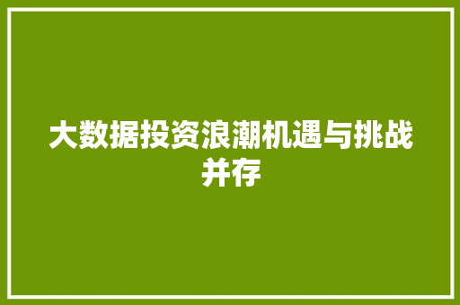 大数据投资浪潮机遇与挑战并存