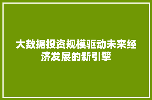 大数据投资规模驱动未来经济发展的新引擎
