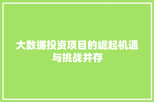 大数据投资项目的崛起机遇与挑战并存