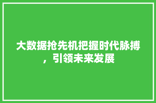 大数据抢先机把握时代脉搏，引领未来发展