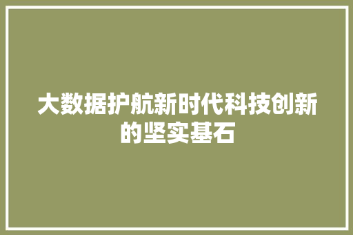 大数据护航新时代科技创新的坚实基石