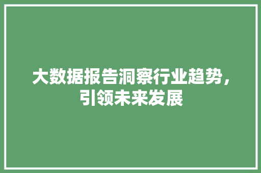 大数据报告洞察行业趋势，引领未来发展