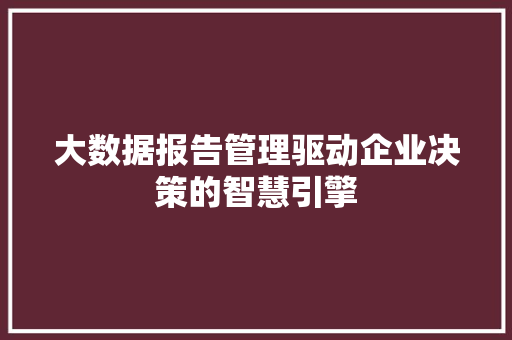 大数据报告管理驱动企业决策的智慧引擎