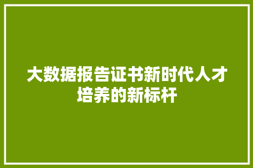 大数据报告证书新时代人才培养的新标杆