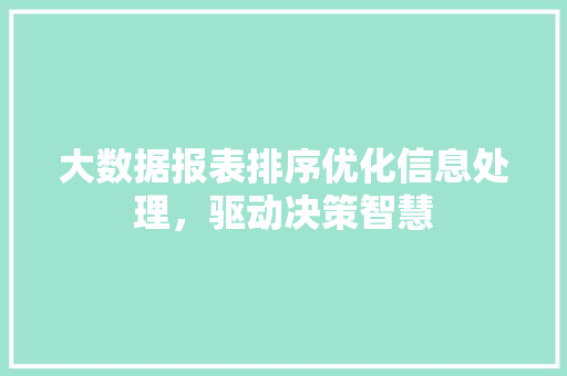 大数据报表排序优化信息处理，驱动决策智慧